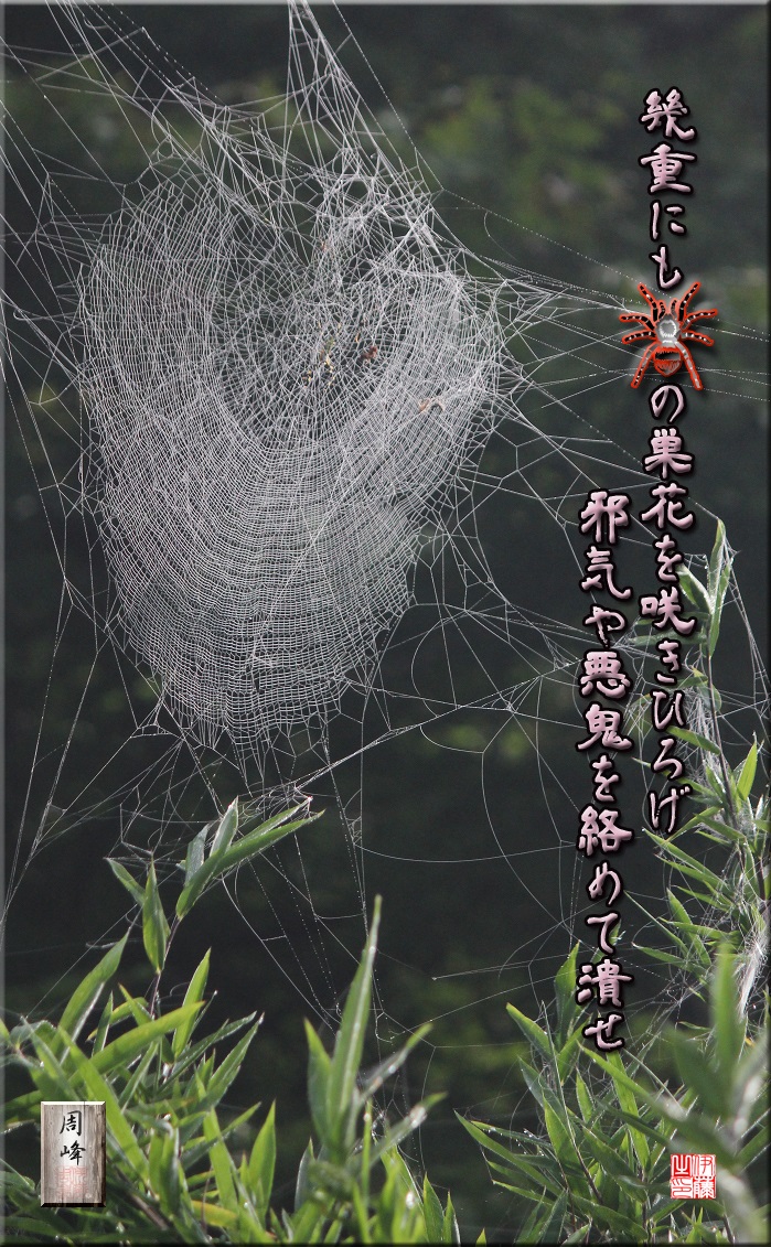 フォト短歌「蜘蛛の巣花」